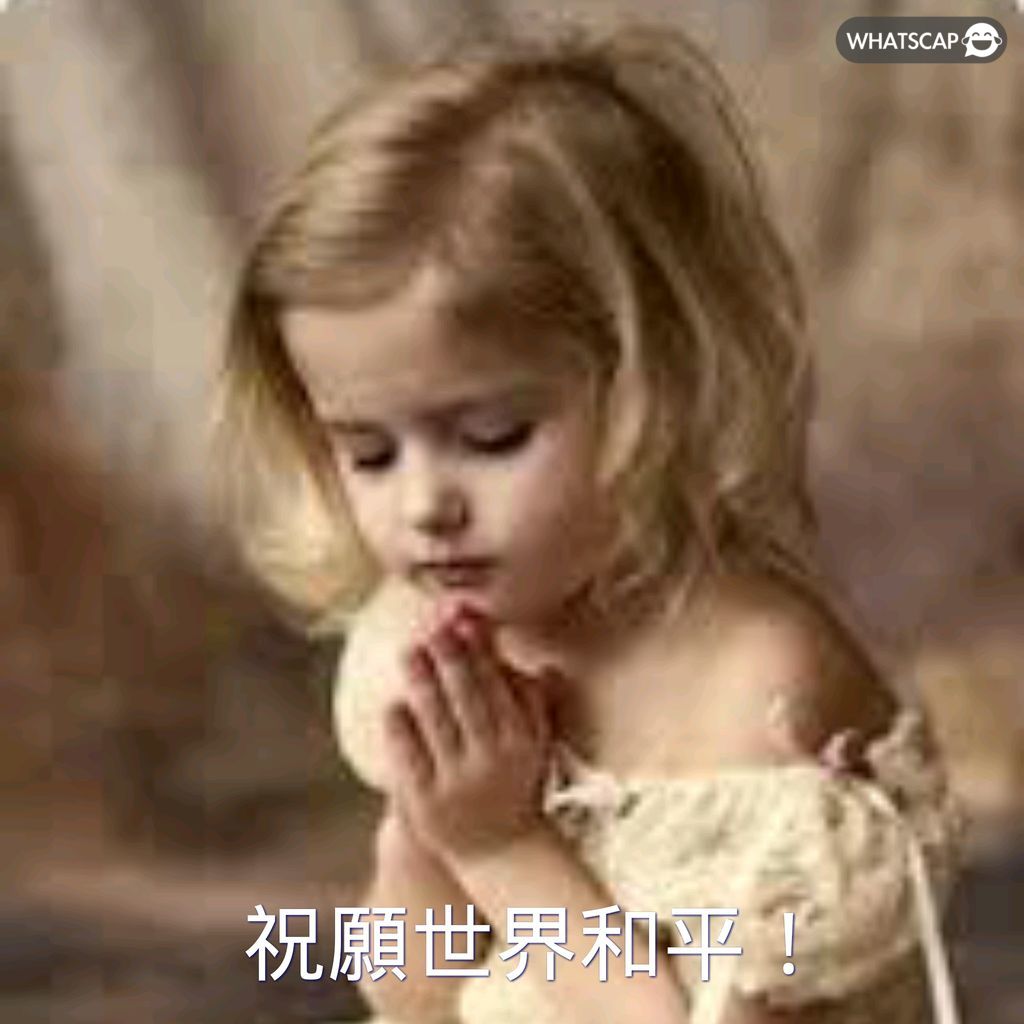 年违约金下,哈兰德身价,悬殊显现,MG链接,MG官网地址,MG官方平台,MG入口站点